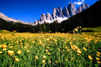 Dolomiten